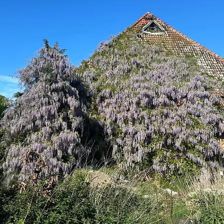 Kornmuehle Doppelzimmer Muehlenstein Apartament